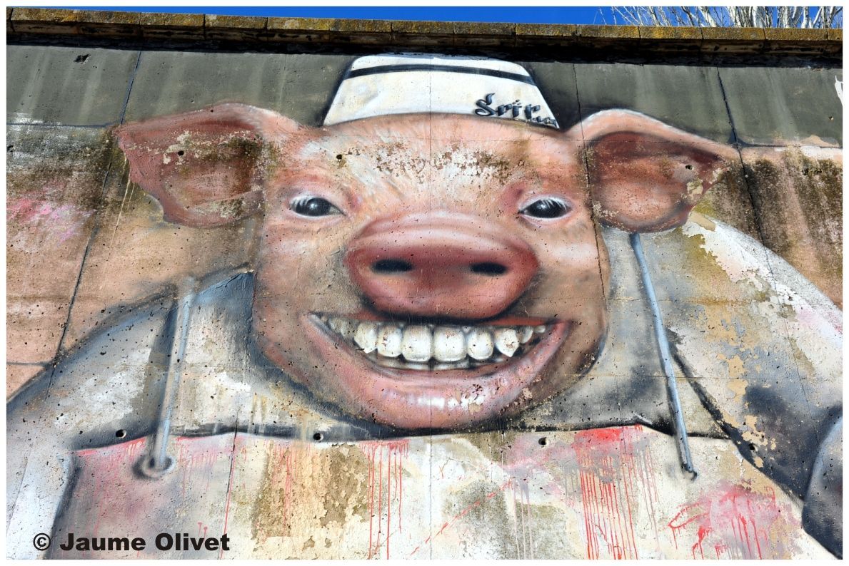 G1922 � Jaume Olivet