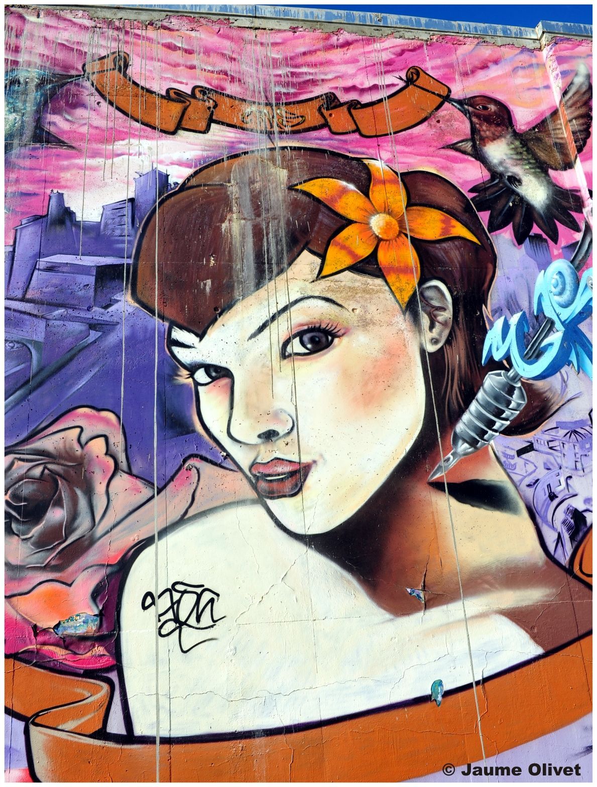 G1960 � Jaume Olivet