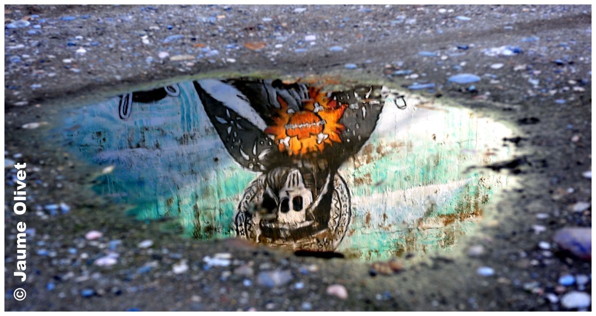 G1964 � Jaume Olivet