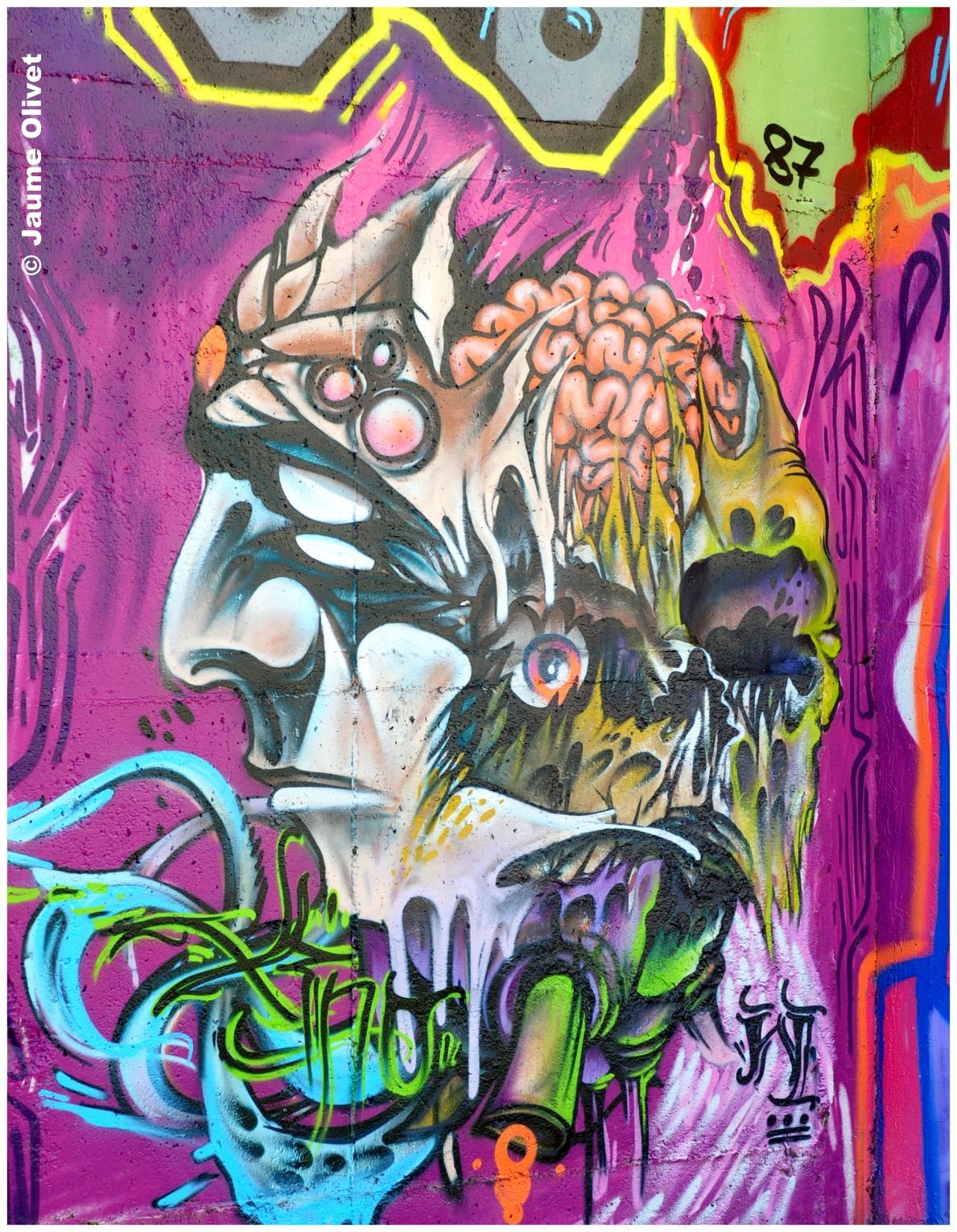 G2000 � Jaume Olivet