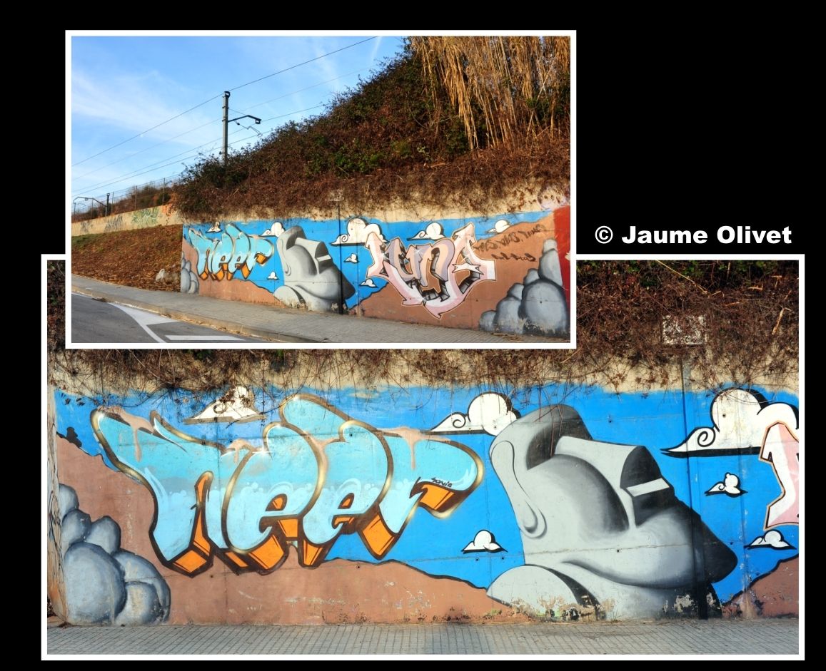 G2008 � Jaume Olivet