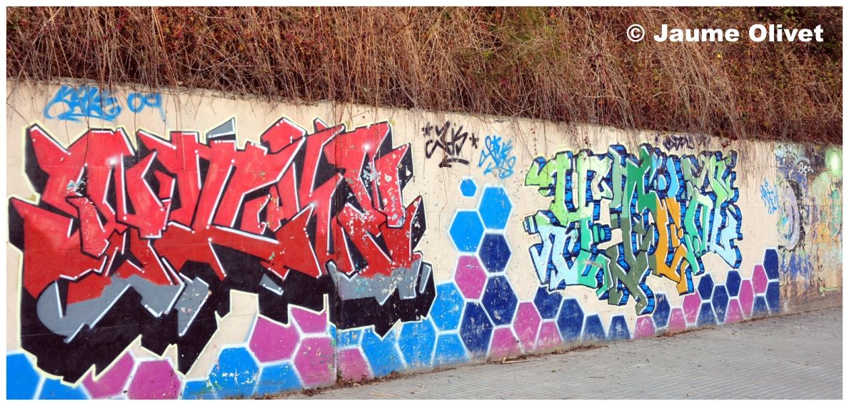 G2011 � Jaume Olivet