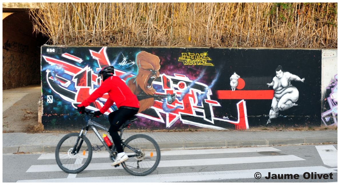 G2012 � Jaume Olivet