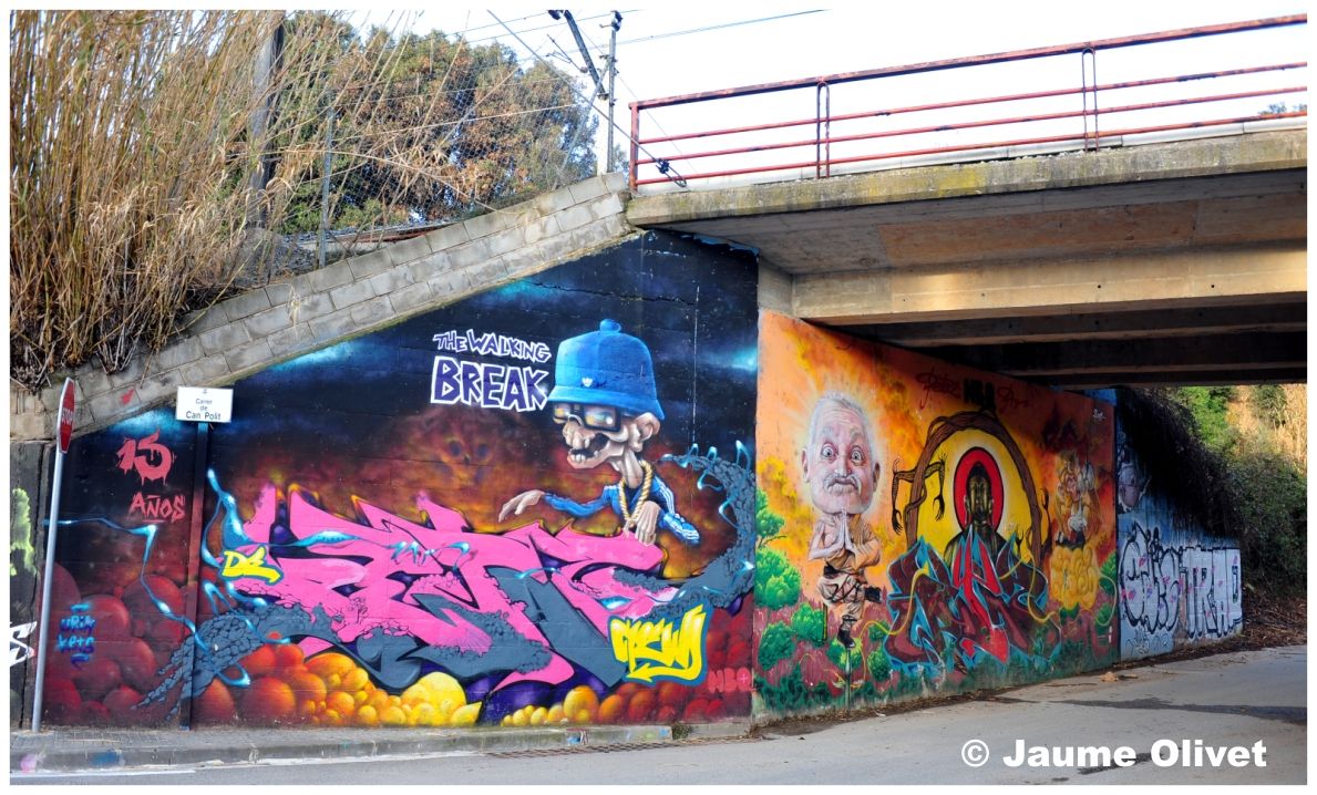 G2029 � Jaume Olivet