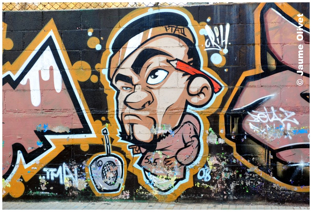 G2043 � Jaume Olivet