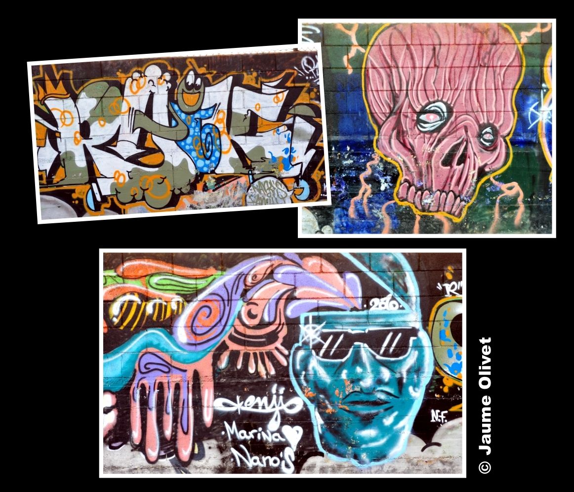 G2049 � Jaume Olivet