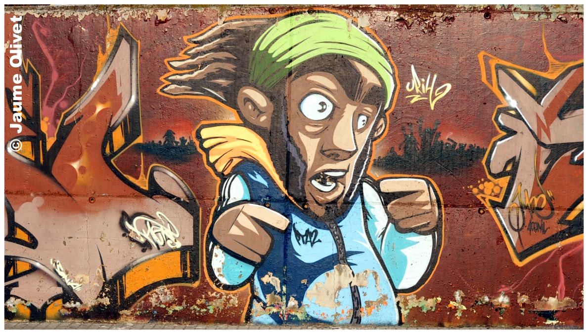 G2051 � Jaume Olivet