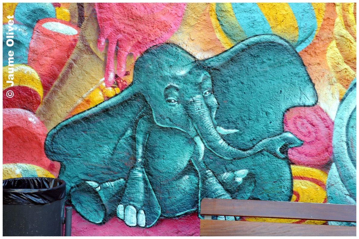 G2104 � Jaume Olivet