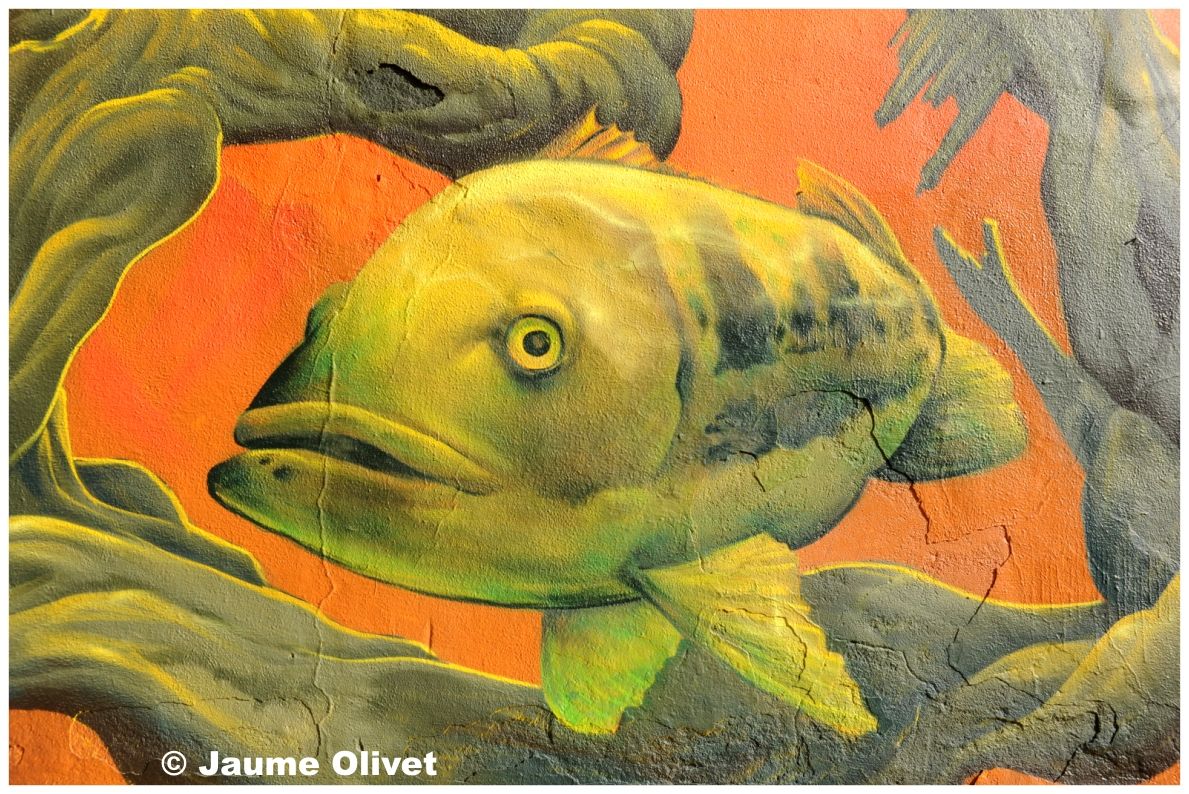 G2122 � Jaume Olivet