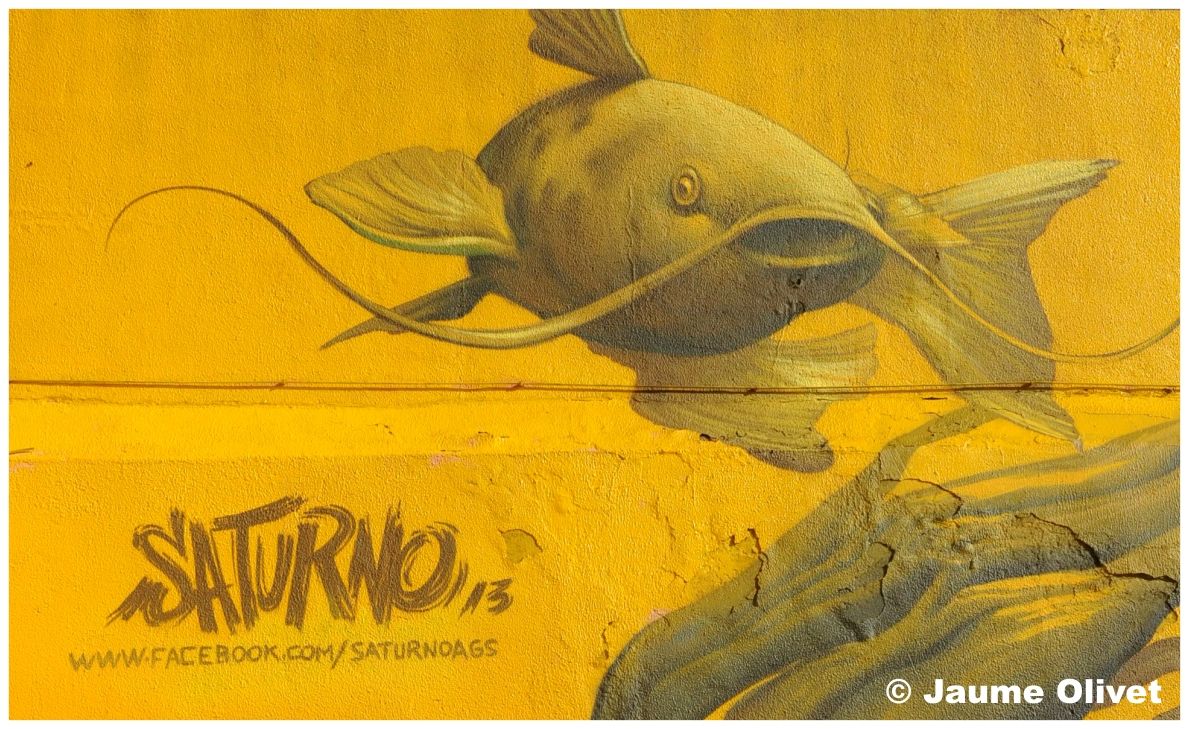 G2125 � Jaume Olivet