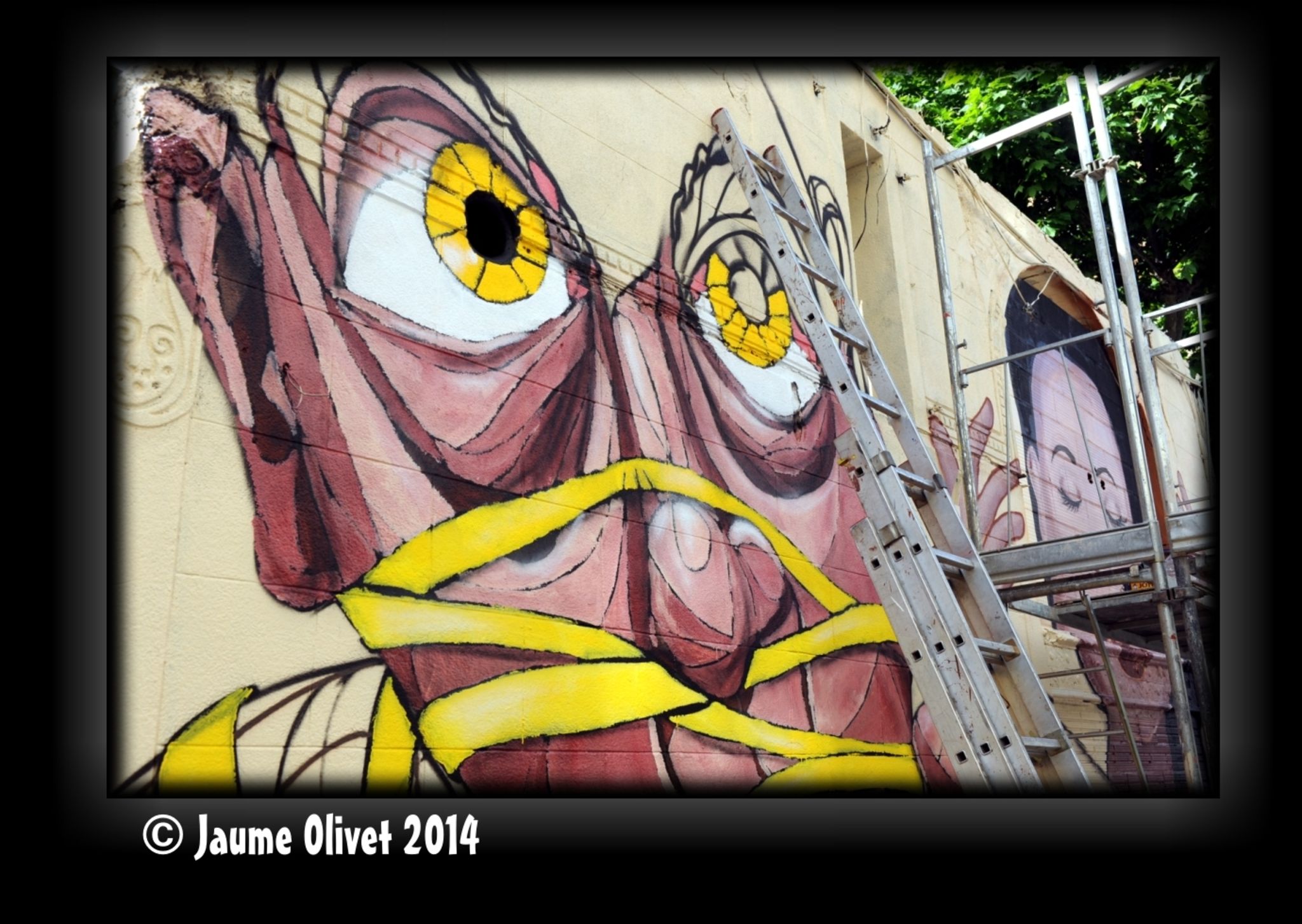 G2169  Jaume Olivet