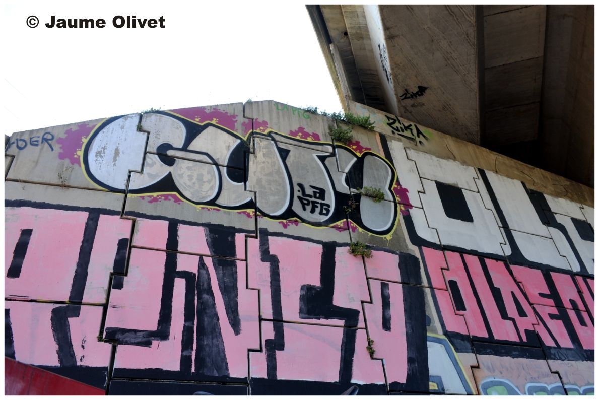  Jaume Olivet