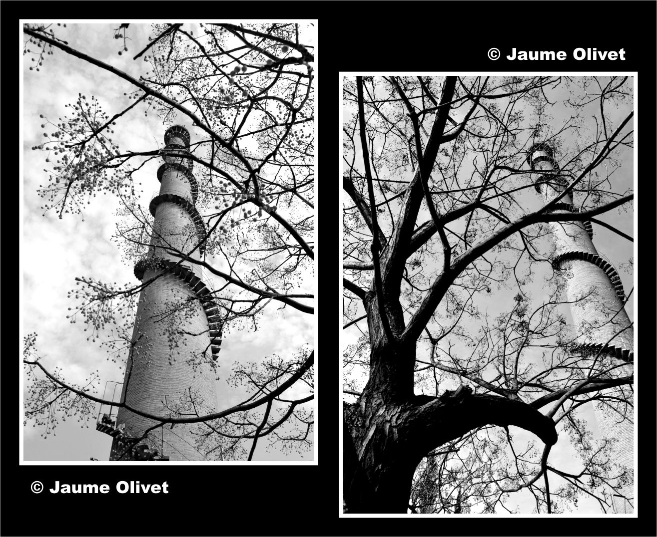 © Jaume Olivet