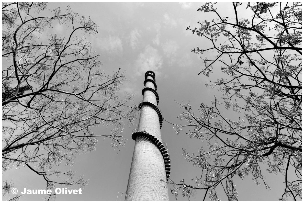 © Jaume Olivet