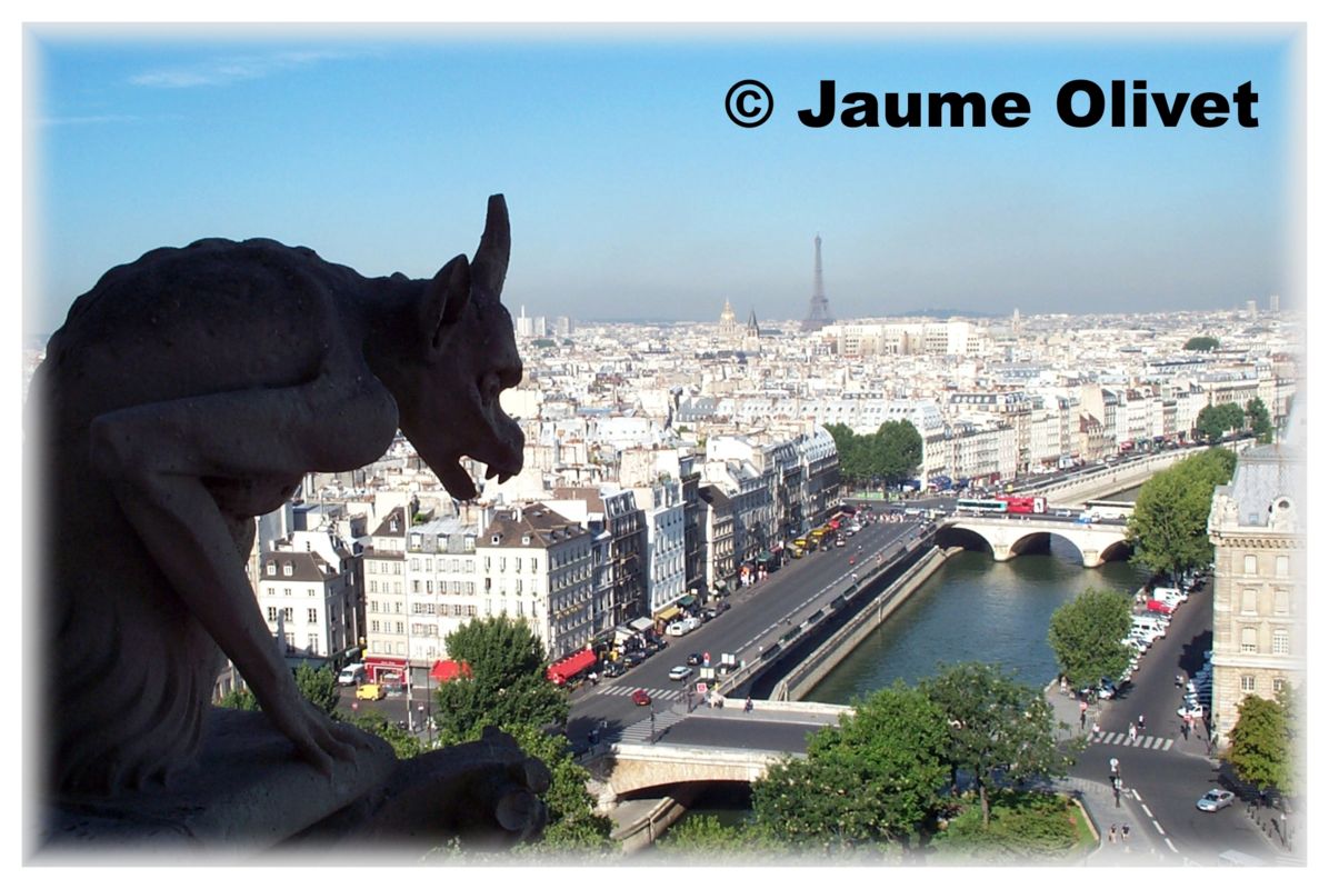 � Jaume Olivet 2001