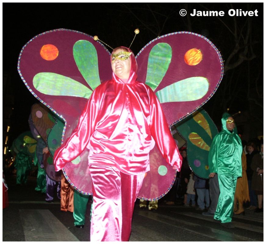 C2002_02048  Jaume Olivet