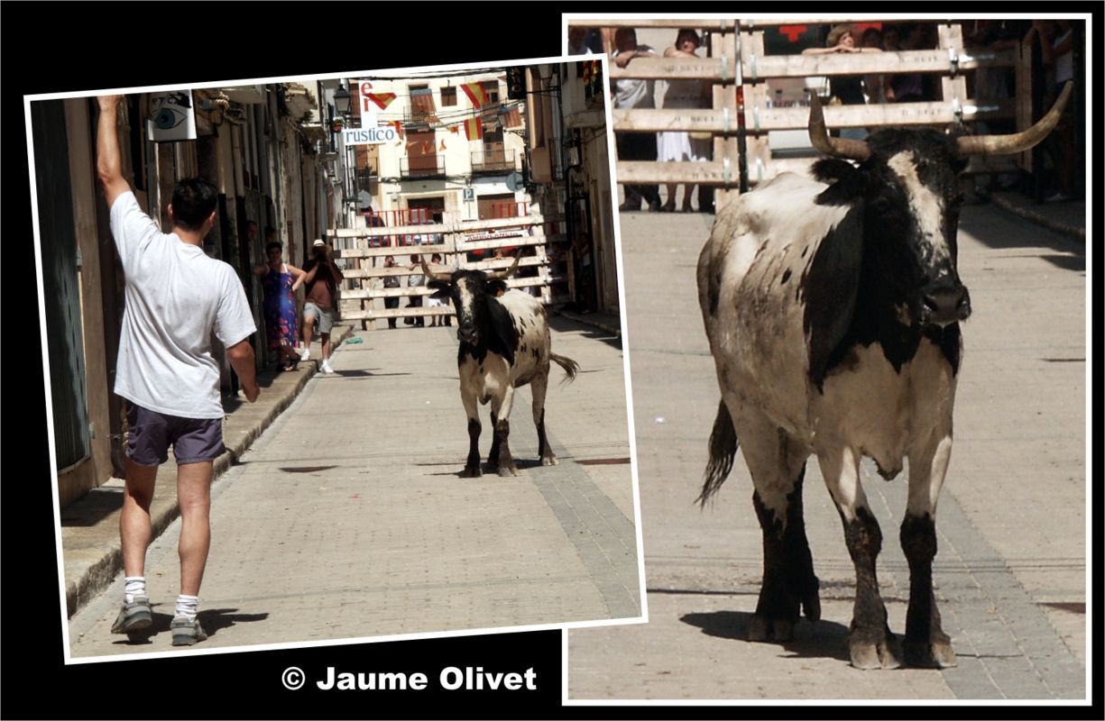 � Jaume Olivet 2013