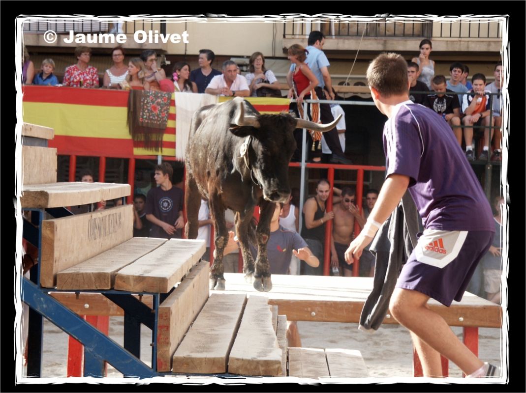 � Jaume Olivet 2013