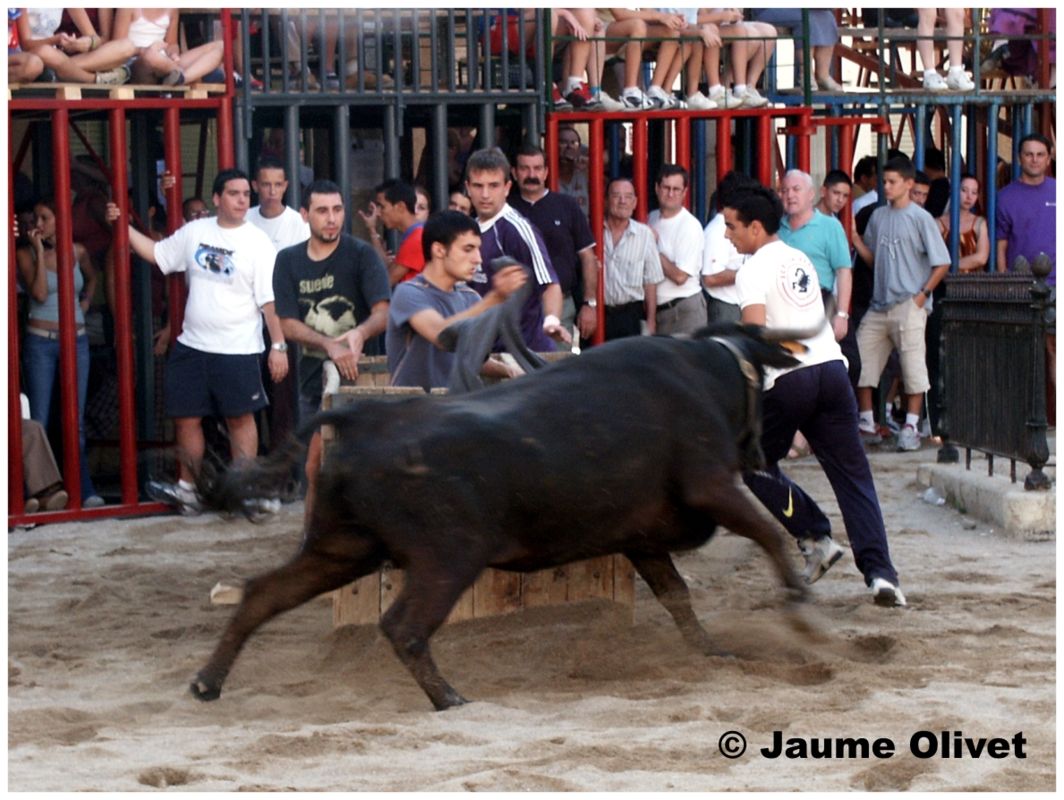 � Jaume Olivet 2013