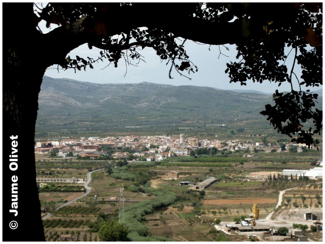 � Jaume Olivet 2003