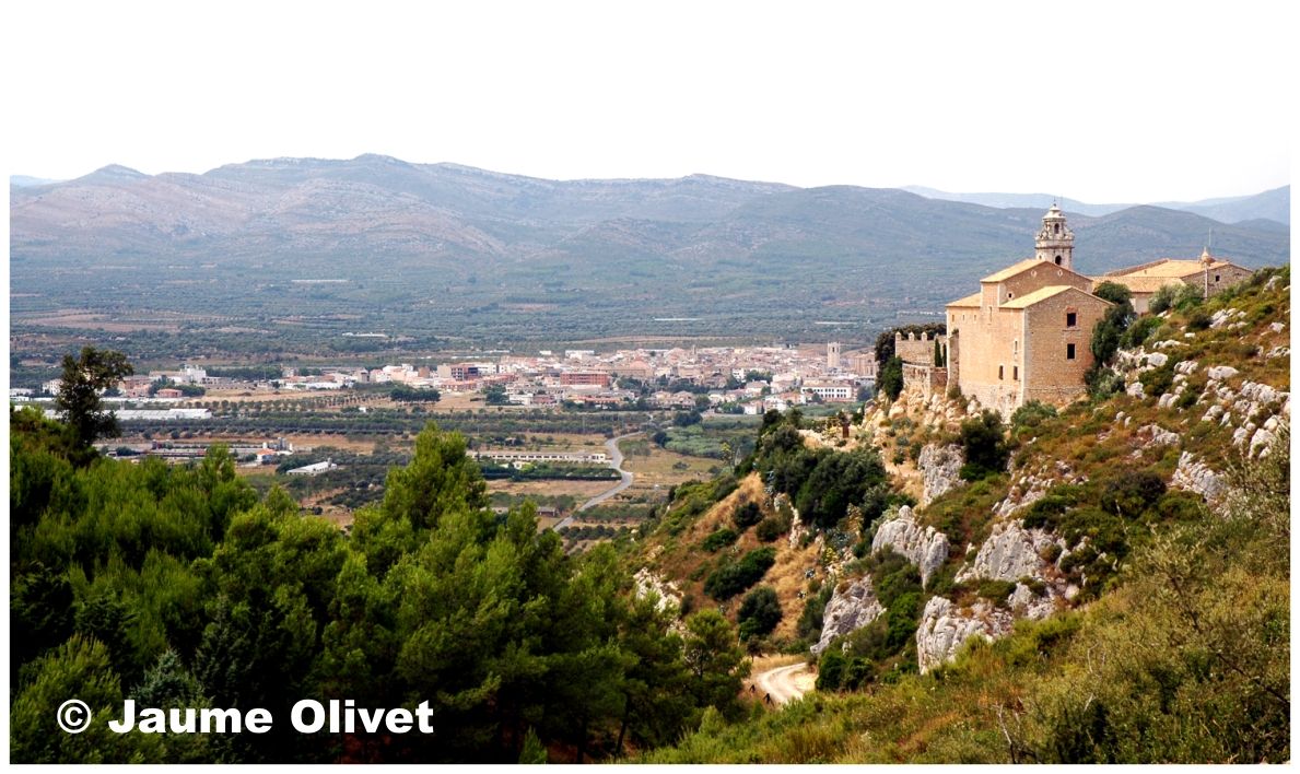 � Jaume Olivet 2003