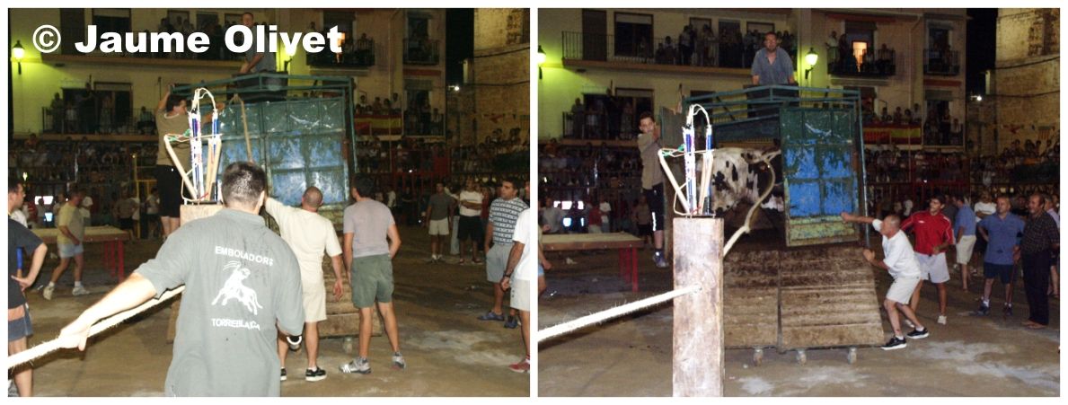 � Jaume Olivet 2003