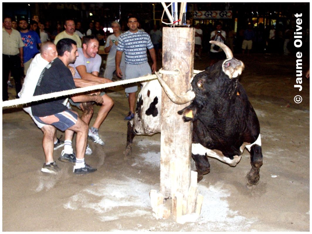 � Jaume Olivet 2003