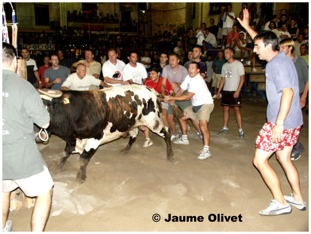 � Jaume Olivet 2003