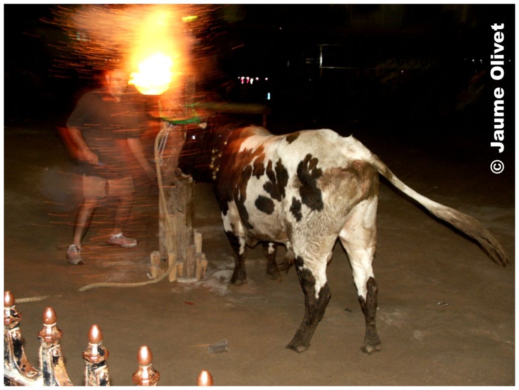 � Jaume Olivet 2003