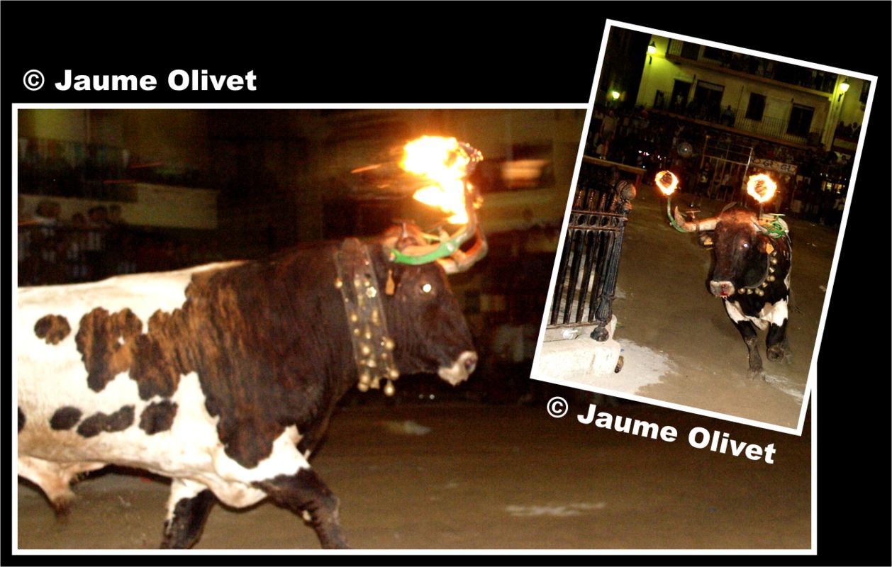 � Jaume Olivet 2003