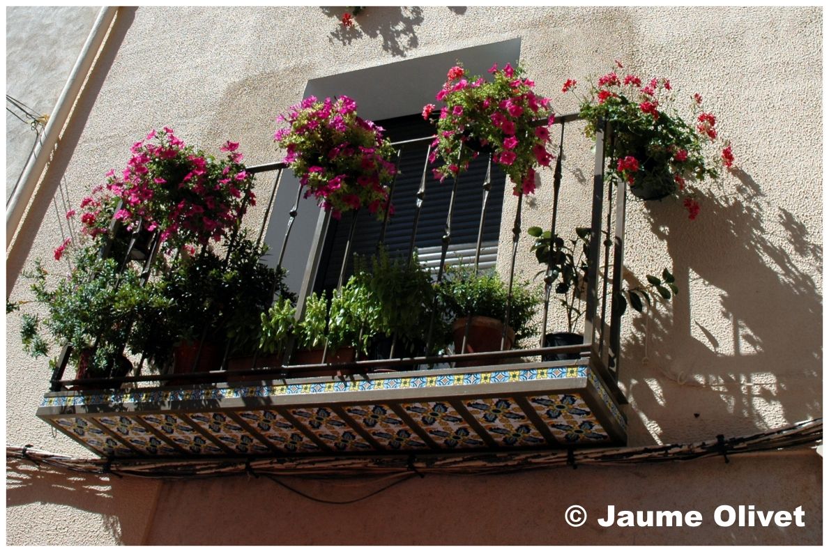 � Jaume Olivet 2004