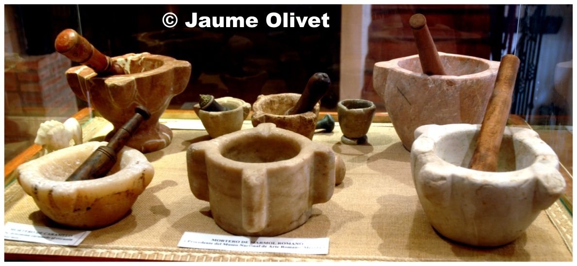 � Jaume Olivet 2004