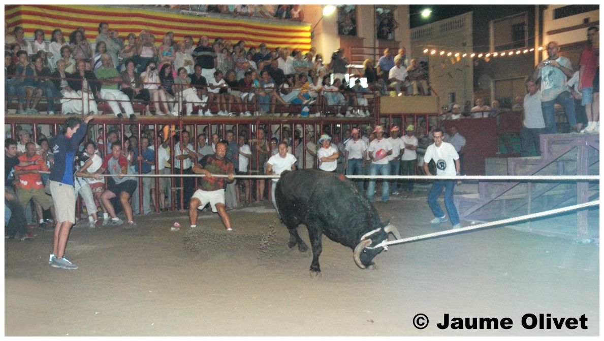 � Jaume Olivet 2004