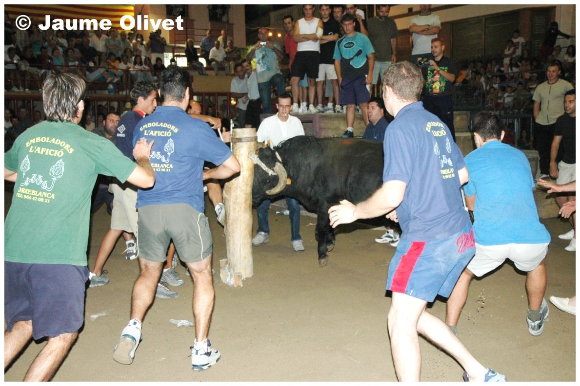 � Jaume Olivet 2004