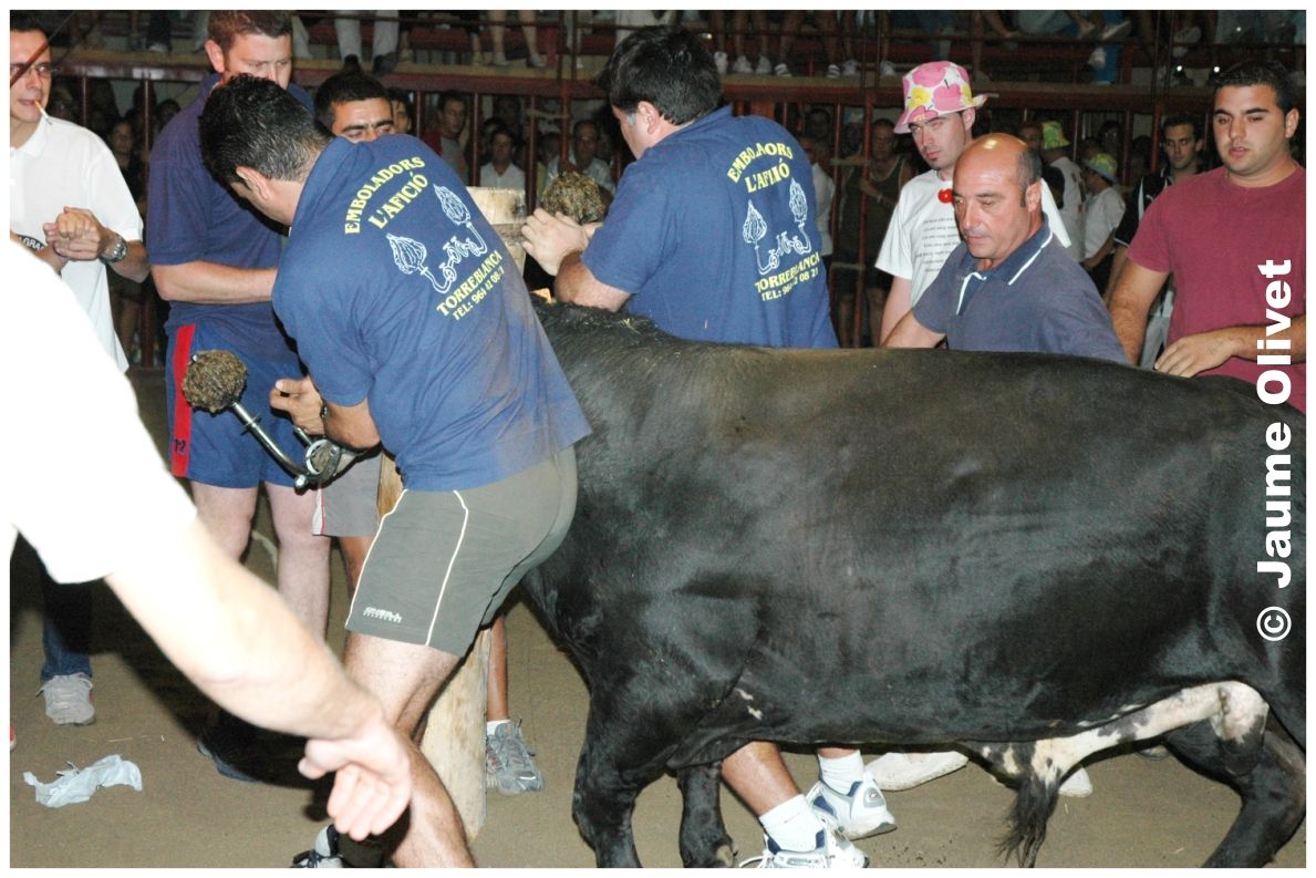 � Jaume Olivet 2004