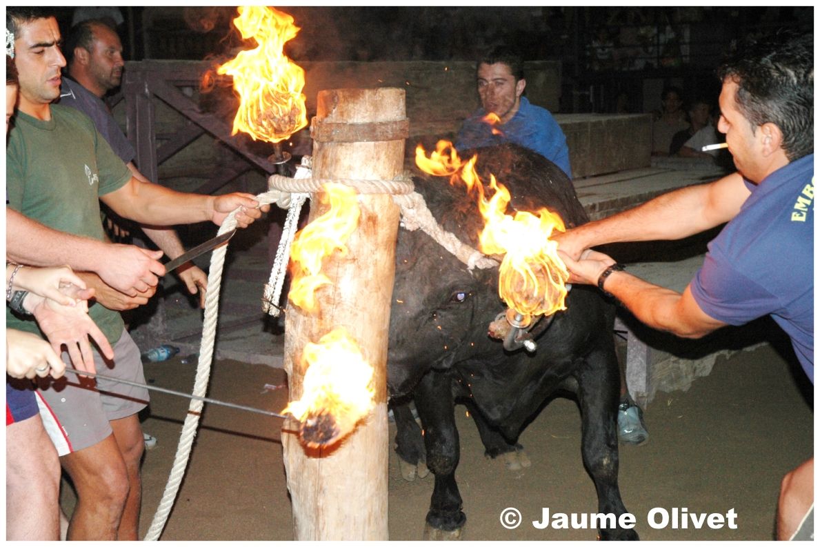 � Jaume Olivet 2004