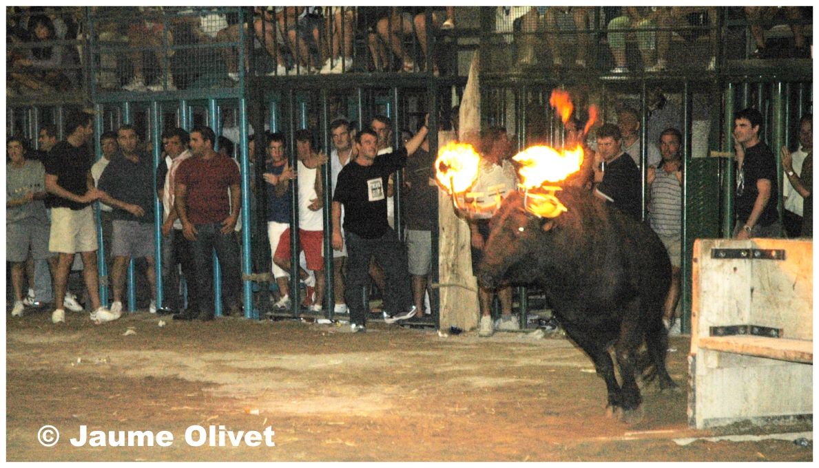 � Jaume Olivet 2004