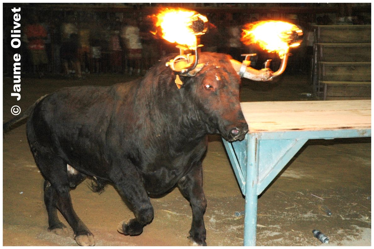 � Jaume Olivet 2004