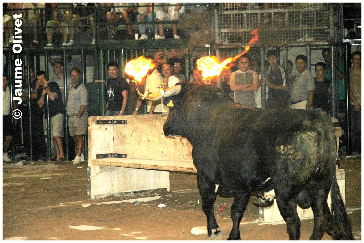 � Jaume Olivet 2004