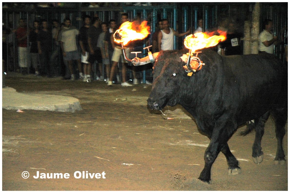 � Jaume Olivet 2004