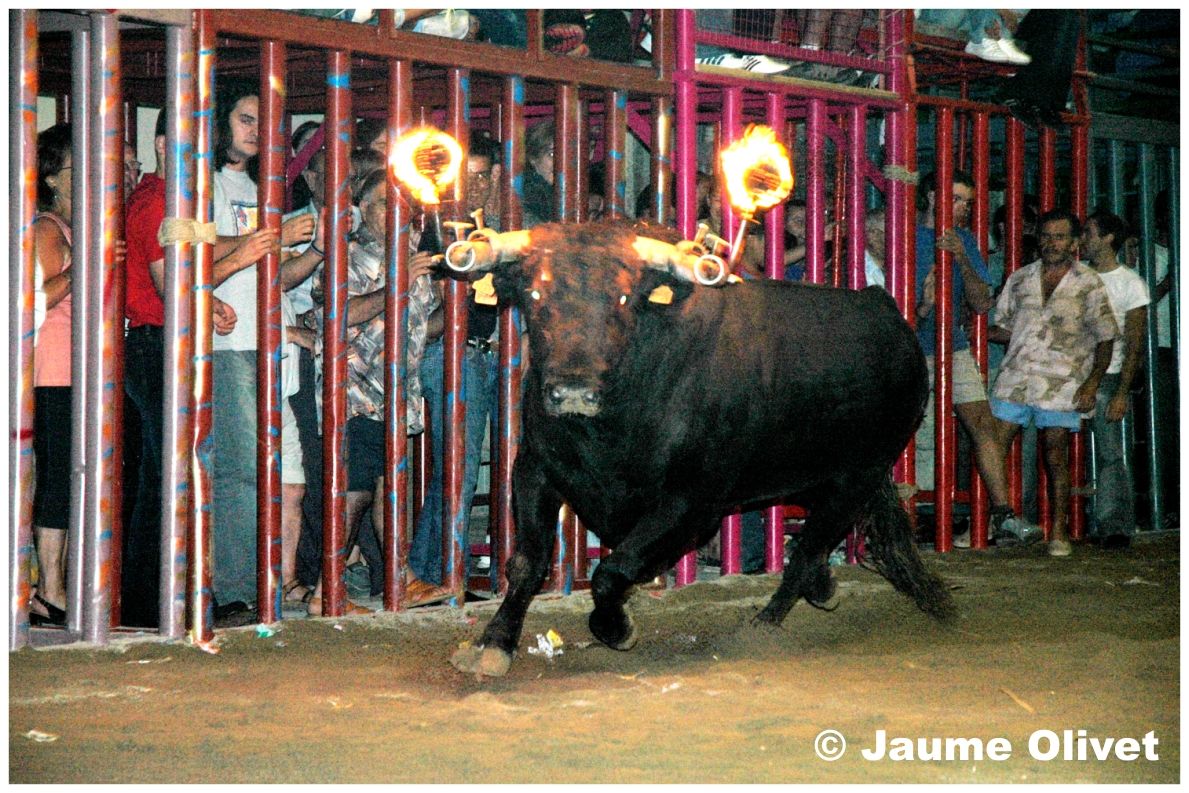 � Jaume Olivet 2004