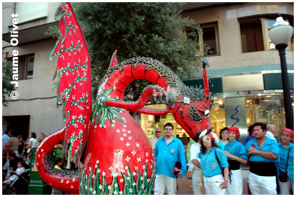 � Jaume Olivet 2005