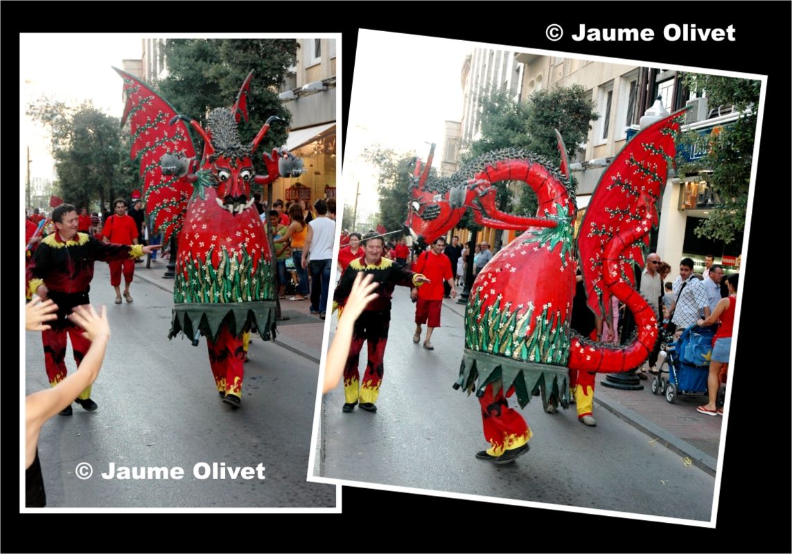 � Jaume Olivet 2005