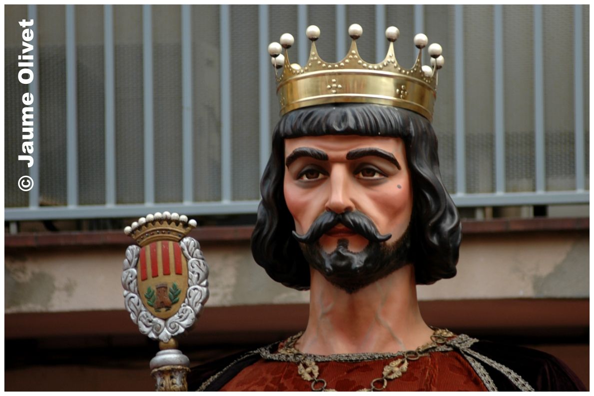 � Jaume Olivet 2005