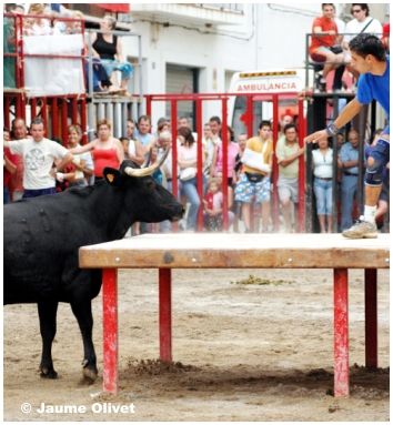 � Jaume Olivet 2005