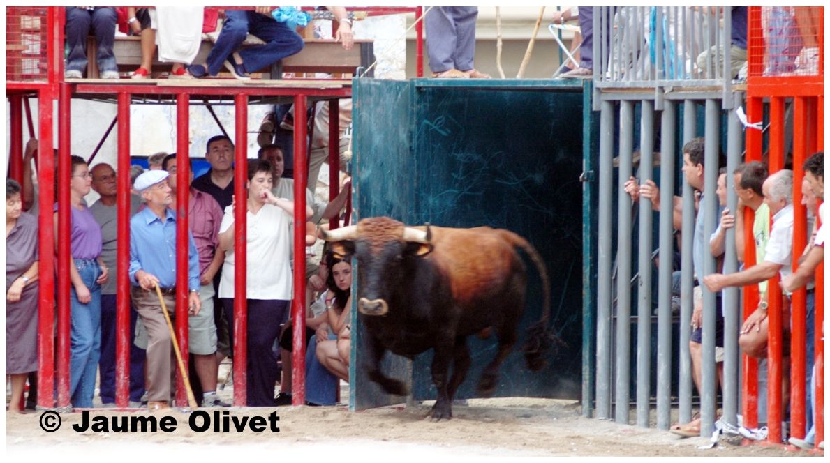 � Jaume Olivet 2005