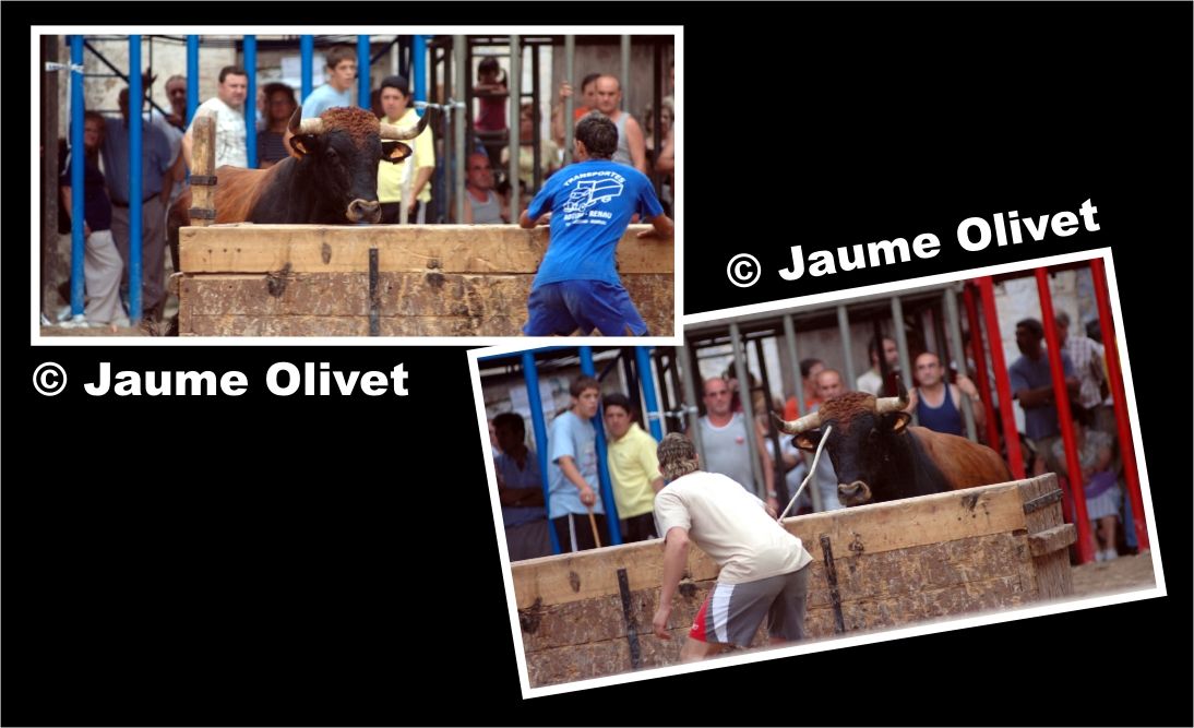 � Jaume Olivet 2005