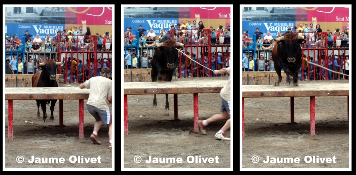 � Jaume Olivet 2005