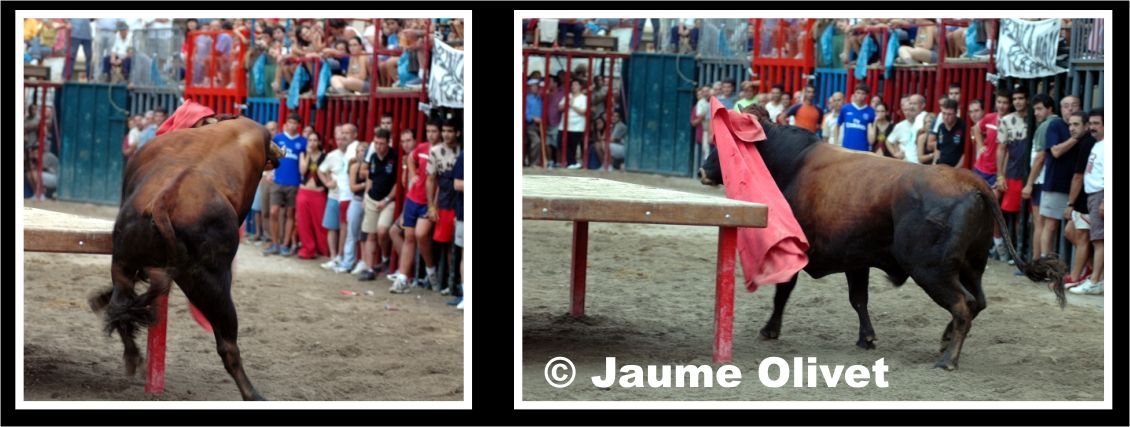 � Jaume Olivet 2005