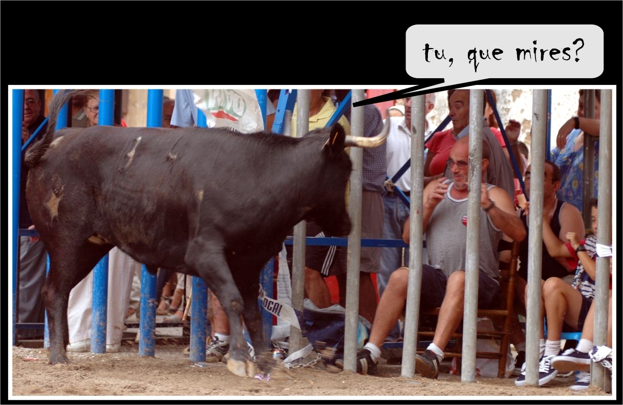 � Jaume Olivet 2005